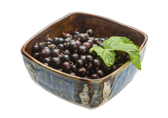 Black currant