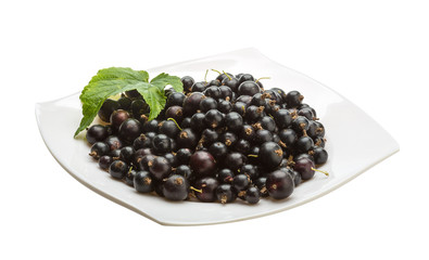 Black currant