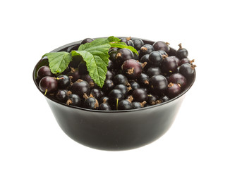 Black currant