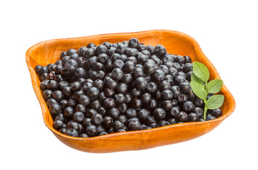 Blueberry