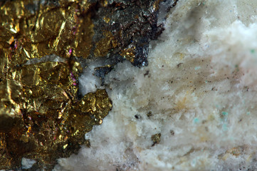 Golden background, rather unique macro photo a rare nugget