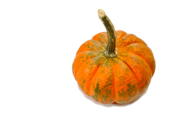 Small Wripe Pumpkin Isolated Over a White Background