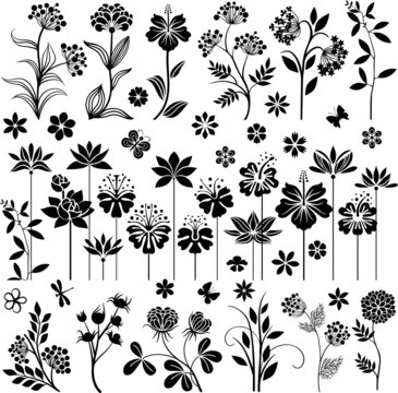 Black floral set I