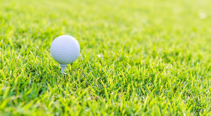Golf ball on green grass