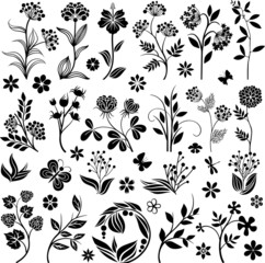 Graphic flowers