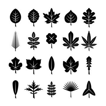 Set icons of leaf