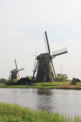 Fototapeta premium Windmills on the canal bank.