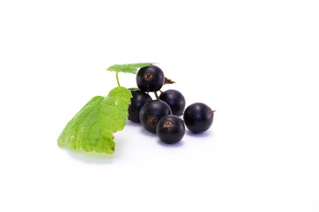 Blackcurrant