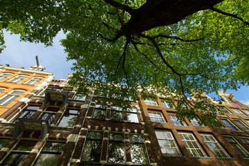 Fototapeta premium Amsterdam in summer
