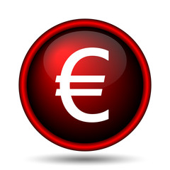 Euro icon