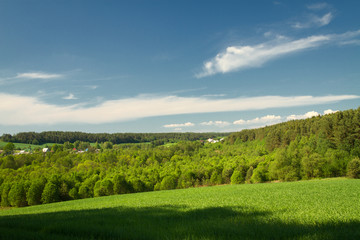 summer landscape of fields and woods