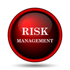Risk management icon