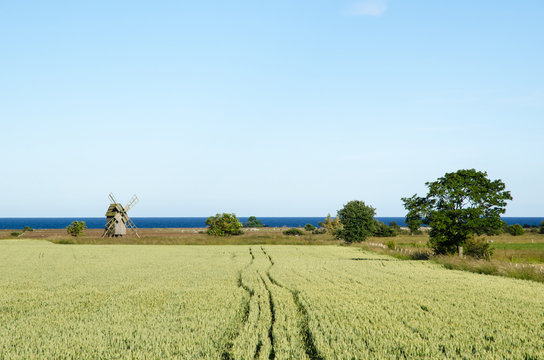 Rural landscape with windmill and corn field