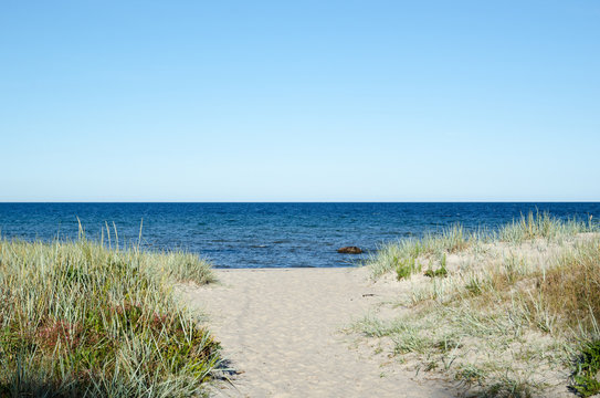 Fototapeta Pathway to the beach of Baltic Sea at the swedish island Oland