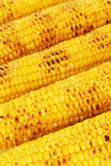 Delicious golden grilled corn close-up