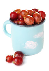 Ripe gooseberries in mug isolated on white.