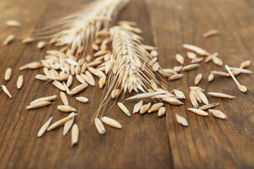 Rye grains and ears on table, close-up