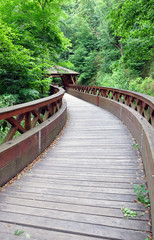 Wooden bridge in the country