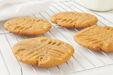 Peanut butter cookies on a cooling rack