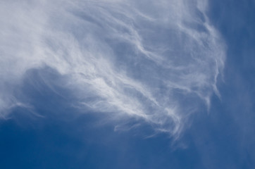 Wispy High Cirrus Clouds in a Blue Sky