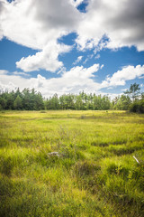 Fototapeta premium Saaremaa island, Estonia