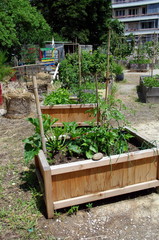 carr&eacute; potager