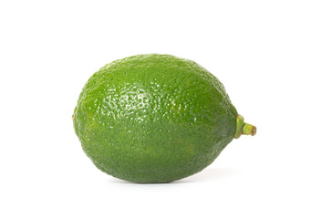 single lime on white background