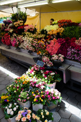 Blankenese - Hamburg