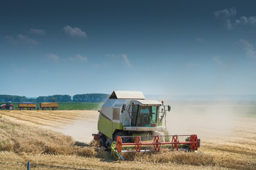 Fototapeta premium Working Harvesting Combine