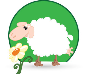 The sheep