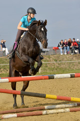 horse jumping