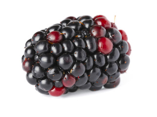 ripe blackberry