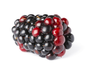 ripe blackberry