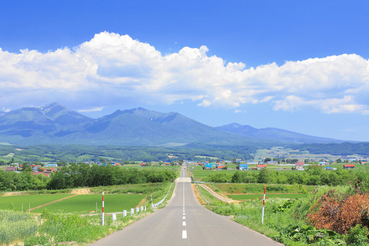 大雪山への道