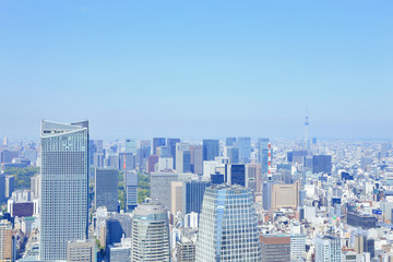 Fototapeta na wymiar 東京タワーからスカイツリー