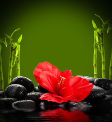 spa concept.  zen basalt stones