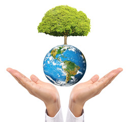 Earth in human the hand
