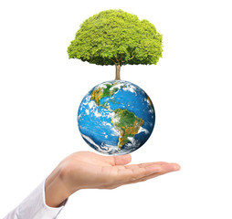 Earth in human the hand