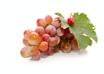 The bunch of the fresh appetizing grapes