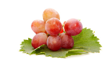 The cluster of delicious grapes