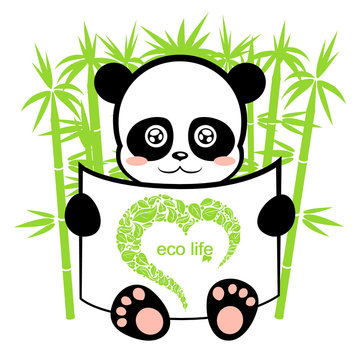 panda in the bamboo forest