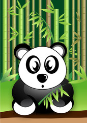 panda kid eating the bamboo leaves