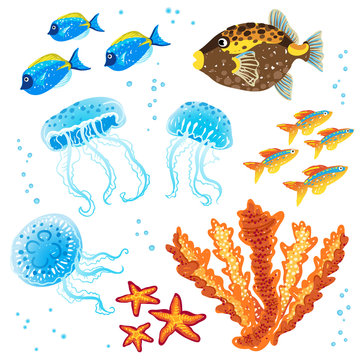 Vector set of tropical fishes, jellyfishes and corals.