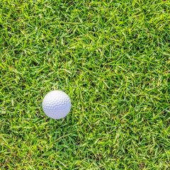 Golf ball on green grass