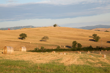 Obraz premium Tuscany bales