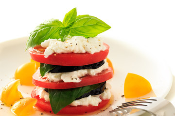 stacked eggplant ,tomato, basil and  cottage cheese