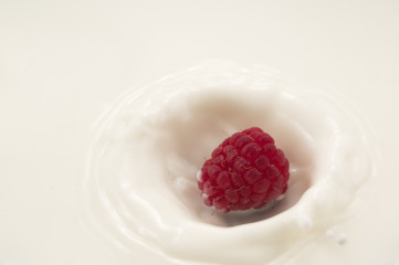 Raspberry splashes into milk 