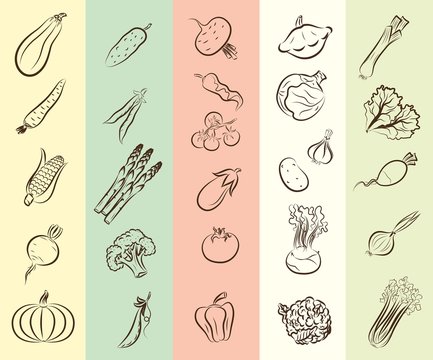 vegetables vector hand drawn