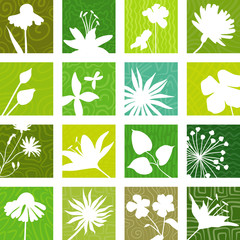 Botany icons