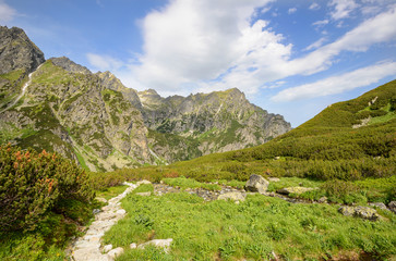 Mountains landscape.Trail in a green mountains.